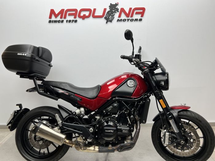 LEONCINO 500