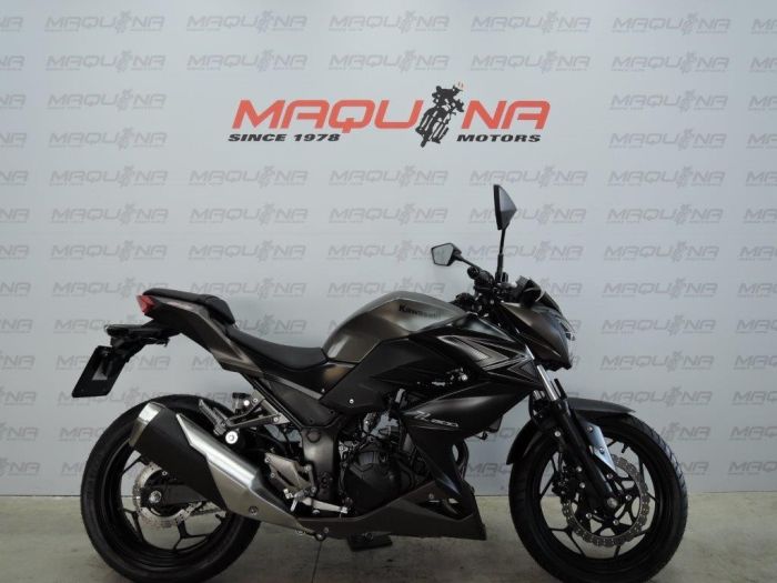 Z 300