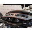 VRSC V-ROD