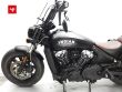 SCOUT BOBBER