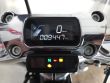 SOFTAIL STANDARD