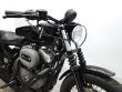 SPORTSTER NIGHTSTER