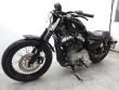 SPORTSTER NIGHTSTER