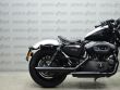SPORTSTER NIGHTSTER