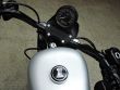 SPORTSTER NIGHTSTER