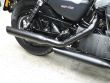 SPORTSTER NIGHTSTER