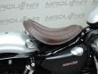 SPORTSTER NIGHTSTER