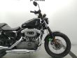 SPORTSTER NIGHTSTER