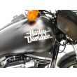DYNA STREET BOB