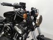 SPORTSTER FORTY-EIGHT