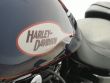 DYNA STREET BOB