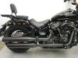 STREET BOB