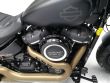 FAT BOB