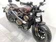 SPORTSTER S