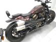 SPORTSTER S