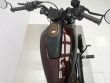 SPORTSTER S