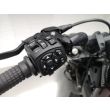 SPORTSTER S