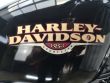SPORTSTER 883 LOW