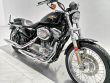 SPORTSTER 883 LOW