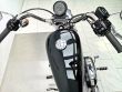 SPORTSTER 883 LOW