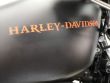 SPORTSTER 883 CUSTOM