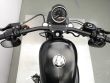 SPORTSTER 883 IRON