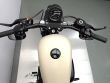 SPORTSTER 883 IRON