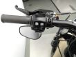 SPORTSTER 883 IRON