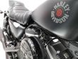 SPORTSTER 883 IRON