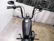 SPORTSTER 883 IRON