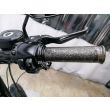 SPORTSTER 883 IRON