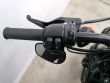 SPORTSTER 883 IRON
