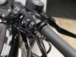 SPORTSTER 883 IRON