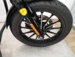 SPORTSTER 883 IRON