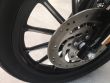 SPORTSTER 883 IRON