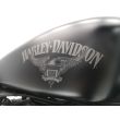 SPORTSTER 883 IRON