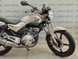 YBR 125