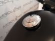 SPORTSTER 883 IRON