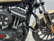 SPORTSTER 883 IRON