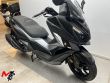 CRUISYM ALPHA 300