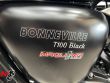 BONNEVILLE T100 BLACK