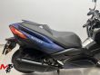X-MAX 300