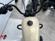 SPORTSTER 883 IRON