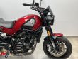 LEONCINO 500