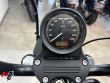 SPORTSTER 883 IRON