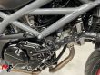 SV 650