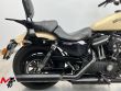 SPORTSTER 883 IRON