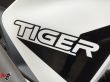 TIGER 900 RALLY PRO