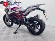 G 310 GS