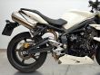 STREET TRIPLE